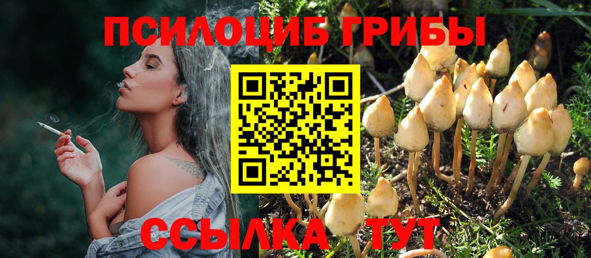 Псилоцибиновые грибы ЛСД  Псилоцибиновые грибы мицелий  Вход с VPN  Набережные Челны 